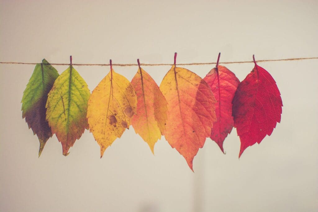 The Unfolding Story of Grace